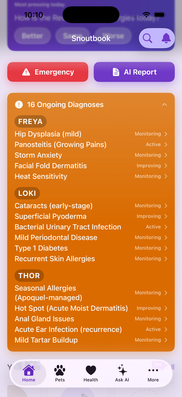 The banner expanded — every ongoing diagnosis across all pets, grouped by pet and tagged Monitoring, Active, or Improving